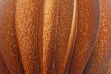 orange pumpkin thumbnail