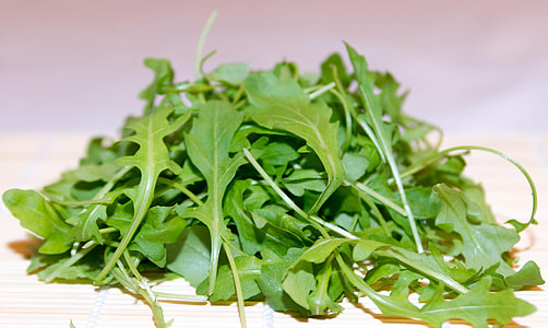 pile of green leaves thumbnail