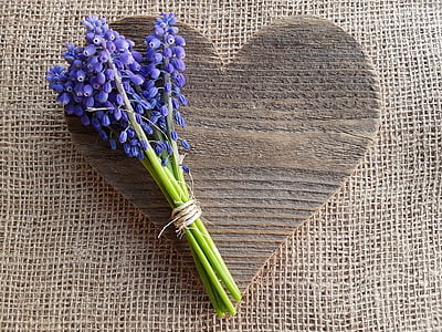purple petaled flowers thumbnail