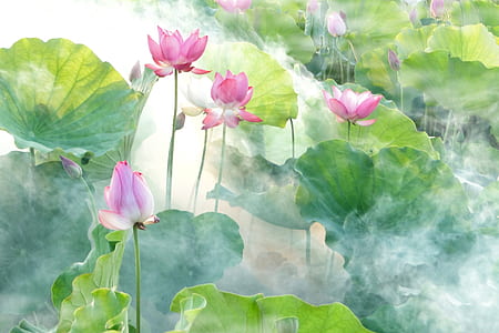 pink lotuses and green lily pads painting thumbnail