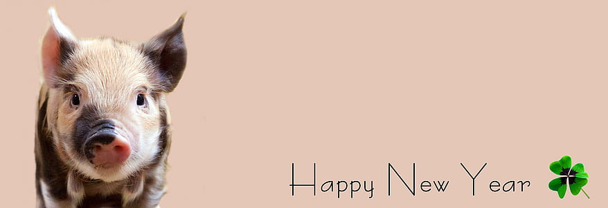 brown and beige piglet with happy new year text overlay thumbnail