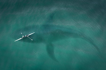 person riding kayak on body of water thumbnail