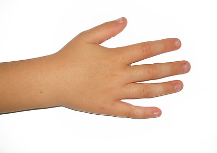 left human hand thumbnail