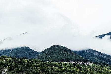 lush forest and white clouds thumbnail