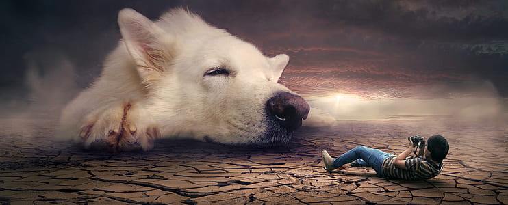 man in yellow and black striped shirt lying taking photo of white dog thumbnail