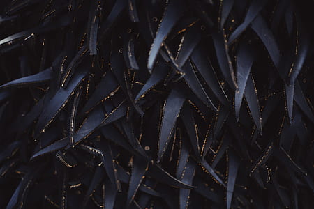abstract, petal, leafe, rubber thumbnail