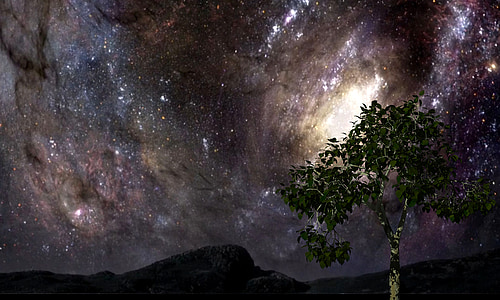 green leafed tree under galaxy sky thumbnail