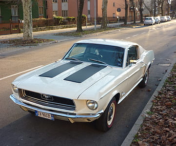 white Ford Mustang coupe parked on concrete road near trees during daytime thumbnail