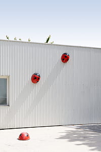 three black-and-red ladybugs decoration on building near tree at daytime thumbnail