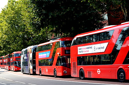 city, road, traffic, vehicles thumbnail