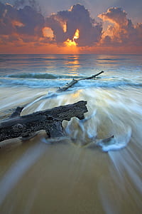Black Wood Branch in Beach Across Wavy Sea during Sunset thumbnail