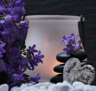 purple petaled flowers thumbnail
