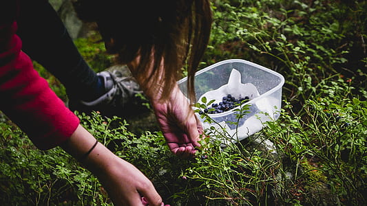 people picking grass thumbnail