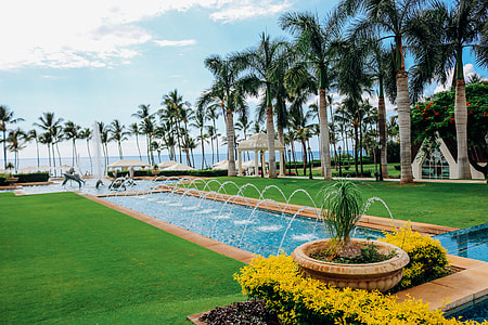 photo of swimming pool near coconut trees during daytime thumbnail