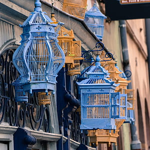 orange and blue birdcages thumbnail