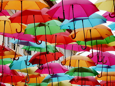 multicolored umbrella lot thumbnail