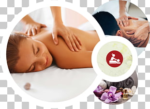 Massage Client Education Resources American Massage