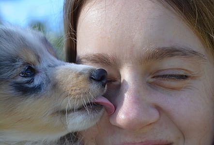 puppy licking woman nose thumbnail