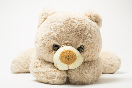 beige bear plush toy thumbnail