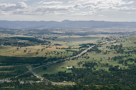 aerial view photography of trees thumbnail
