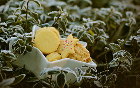 biscuits on ceramic bowl thumbnail