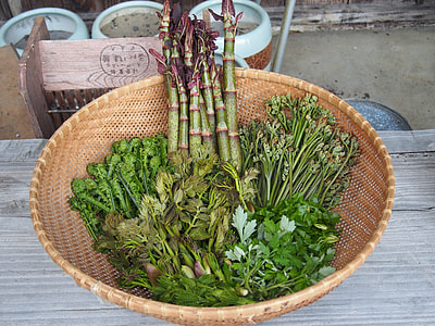 Edible Wild Plants thumbnail