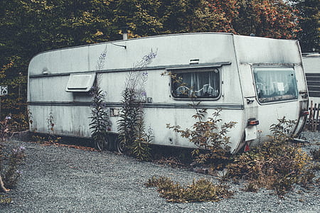 white RV trailer covered with leaves thumbnail