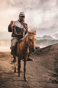 man riding on brown horse thumbnail