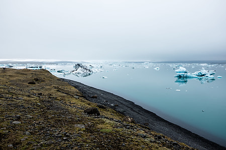 green grass beside body of water with icebergs thumbnail