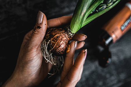 Woman making a little ornamental seedling in a small jar thumbnail