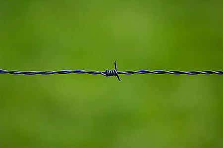 gray barb wire thumbnail
