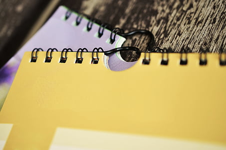 two purple and yellow spring books thumbnail