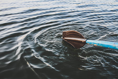 blue and brown boat paddle on body of water thumbnail