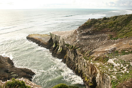 Scenic View of Ocean thumbnail