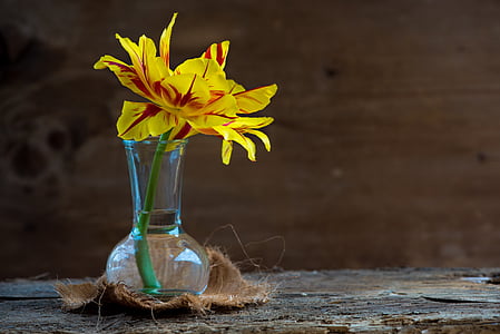 yellow petaled flower on vase thumbnail