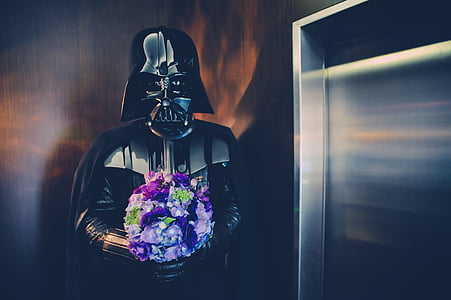 Darth Vader holding purple flower bouquet thumbnail