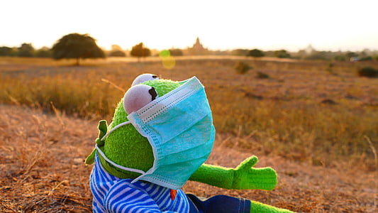 Kermit the Frog plush toy wearing face mask thumbnail