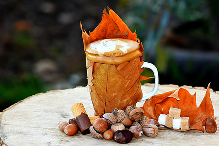 white and brown mug on wooden stump thumbnail