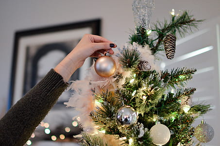 Person Holding Beige Bauble Near Christmas Tree thumbnail