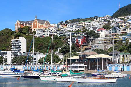 Ships in the Bay in Wellington, New Zealand thumbnail