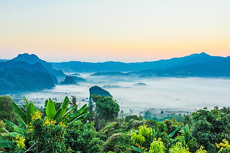 Scenic View of the Mountains thumbnail