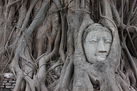 black buddha embossed tree decor thumbnail