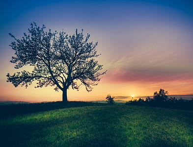 dawn, landscape, nature, sky thumbnail