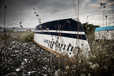 black and white boat on seashore thumbnail