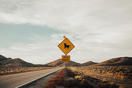 Open Range signage near asphalt road thumbnail