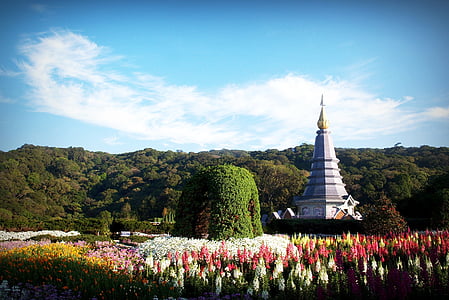 grey tower on white and red flower field at daytime landscape photography thumbnail