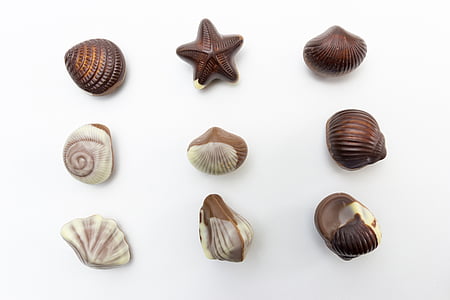 nine brown seashells thumbnail