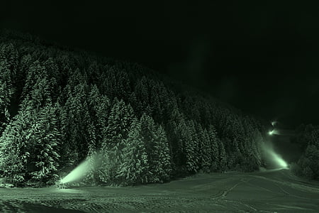 snow-covered forest during night thumbnail