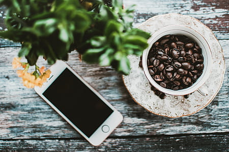 Turned-off Silver Iphone 5s Near Cup of Roaster Coffee Beans thumbnail