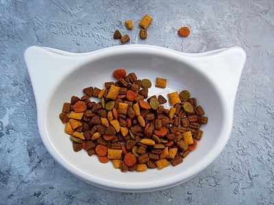 pet food on bowl thumbnail